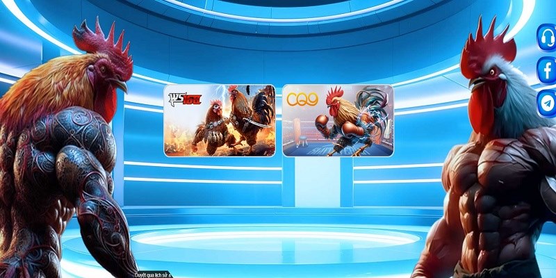 Nhiều loại hình được Ko66 trực tiếp